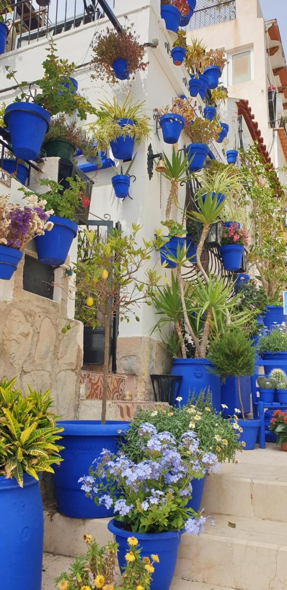El Barrio Alicante , Playa Y Casco Antiguo Екстериор снимка